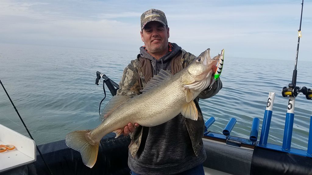 Another super nice f trophy walleye !!!