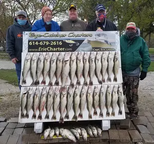 Lake Erie Walleye Fishing Charters