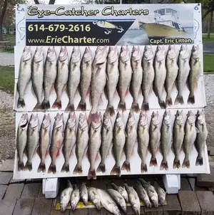 Lake Erie Walleye Fishing Charters