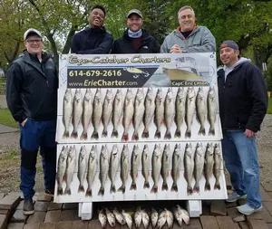 Lake Erie Walleye Fishing Charters