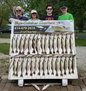Lake Erie Walleye Fishing Charters