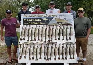 Lake Erie Walleye Fishing Charters