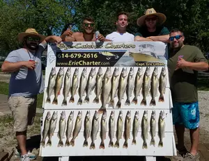 Lake Erie Walleye Fishing Charters