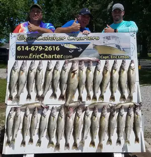 Lake Erie Walleye Fishing Charters