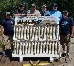 Lake Erie Walleye Fishing Charters