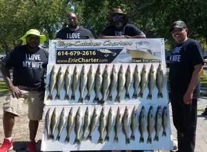 Lake Erie Walleye Fishing Charters