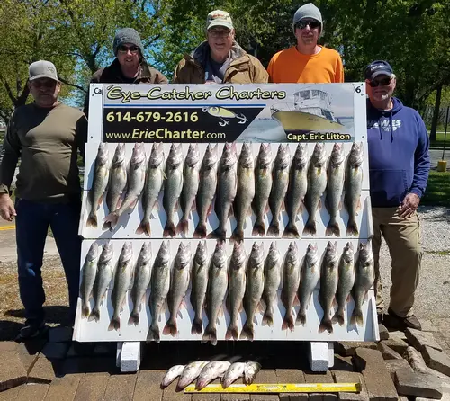 Lake Erie Walleye Fishing Charters