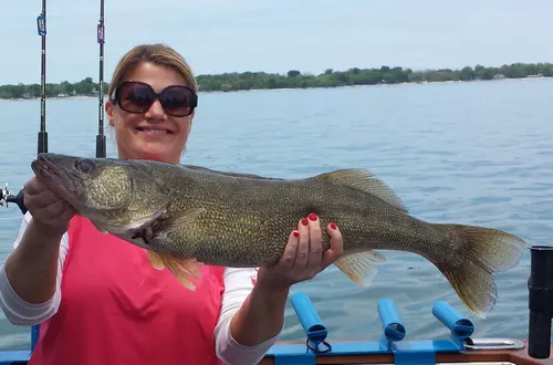 Lake Erie Walleye Charters will be a highlight of 2020 memories.  XtrFishingCharters.com Cisco Fishing Systems, Ltd. • Wieda's Marine •  Fishing Online •, By XTR Fishing Charters